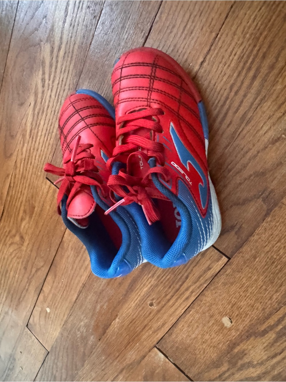 Kids Red and Blue Athletic Sneakers with Secure Laces